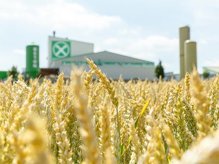 Foto: Jens Paritzsch Unternehmensfotografie