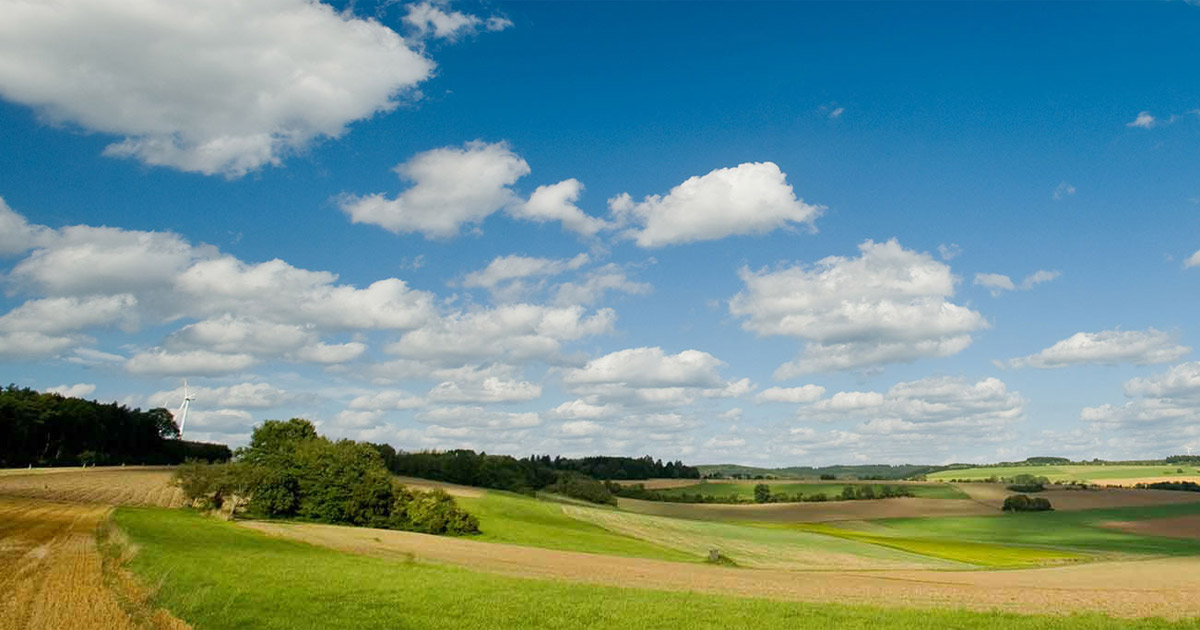 (c) Regionalmarke-eifel.de